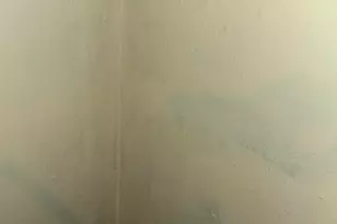 8236 Trinity St, Detroit, MI 48228 - Photo 27