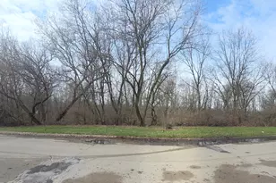 8236 Trinity St, Detroit, MI 48228 - Photo 17