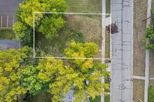 119 Lafayette St, Ionia, MI 48846 - Photo 1