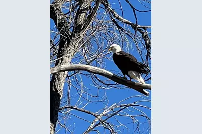 [Address not provided], Muskegon, MI 49445 - Photo 11