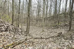 52561 38th Ave, Bangor, MI 49013 - Photo 37