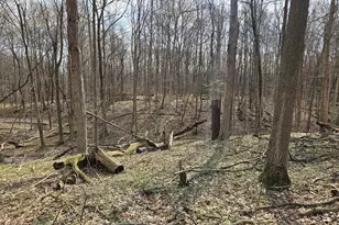 52561 38th Ave, Bangor, MI 49013 - Photo 31