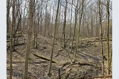 52561 38th Avenue, Bangor, MI 49013 - Photo 29