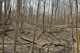 52561 38th Ave, Bangor, MI 49013 - Photo 29