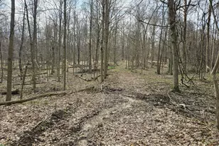 52561 38th Ave, Bangor, MI 49013 - Photo 33