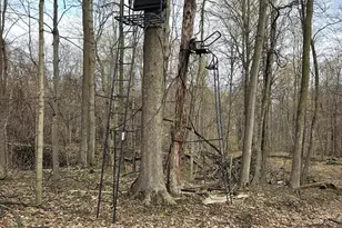 52561 38th Ave, Bangor, MI 49013 - Photo 35