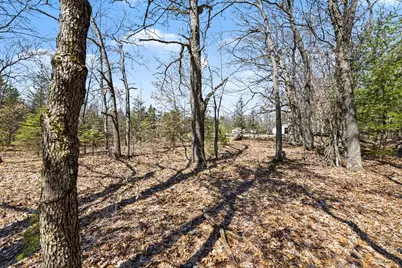 14481 N Coates Highway, Brethren, MI 49619 - Photo 41