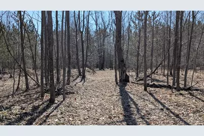 14441 Woods Trail #65, Thompsonville, MI 49683 - Photo 25