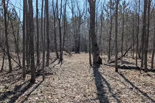 14441 Woods Trail, Thompsonville, MI 49683 - Photo 25