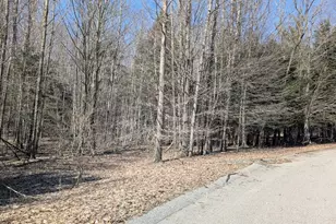 Opal Ridge Dr, Onekama, MI 49675 - Photo 1