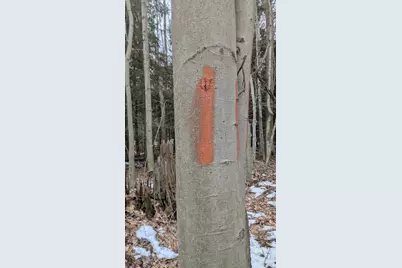 Opal Ridge Drive #68, Onekama, MI 49675 - Photo 9