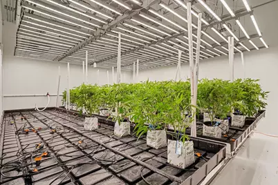 6764 Just Barns Drive, Fennville, MI 49408 - Photo 3