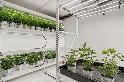 6764 Just Barns Drive, Fennville, MI 49408 - Photo 13