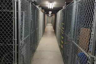 207 S William St, Ludington, MI 49431 - Photo 25