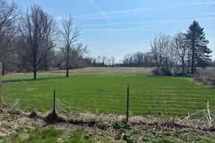 8163 E Monroe Rd, Britton, MI 49229 - Photo 11