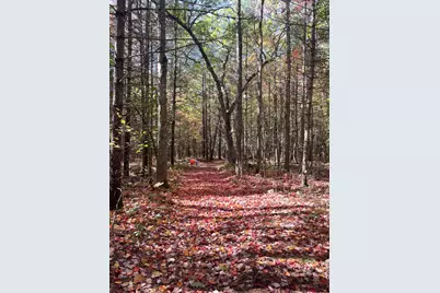 674 N Michigan Avenue, Wellston, MI 49689 - Photo 29