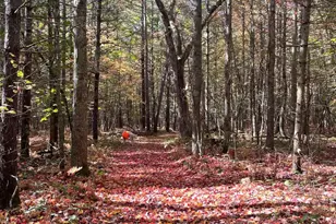 674 N Michigan Ave, Wellston, MI 49689 - Photo 29