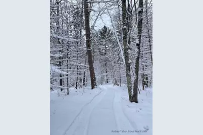 674 N Michigan Avenue, Wellston, MI 49689 - Photo 31