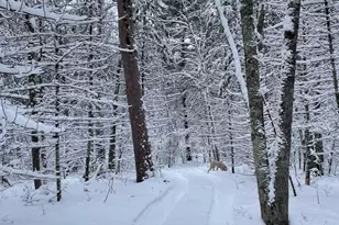 674 N Michigan Ave, Wellston, MI 49689 - Photo 31