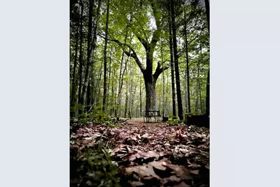 674 N Michigan Avenue, Wellston, MI 49689 - Photo 35