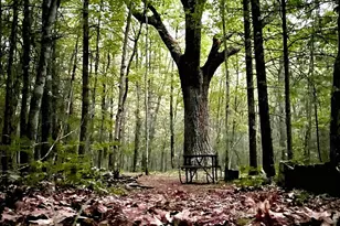 674 N Michigan Ave, Wellston, MI 49689 - Photo 35