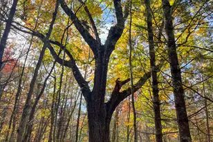 674 N Michigan Ave, Wellston, MI 49689 - Photo 33