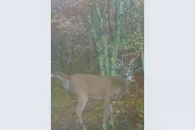 109 W McKinley Road, Rothbury, MI 49452 - Photo 77