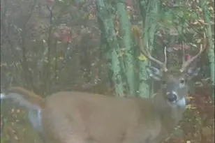 109 W McKinley Rd, Rothbury, MI 49452 - Photo 77