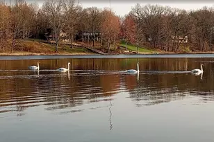 598 Scotts Dr, Delton, MI 49046 - Photo 27