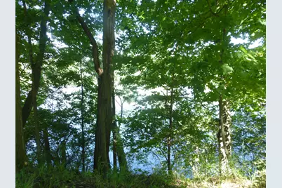 509 N State Street, Niles, MI 49120 - Photo 1