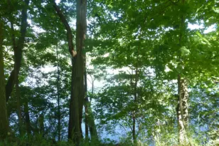 509 N State St, Niles, MI 49120 - Photo 1