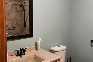 6523 Clinton Trail, Clarksville, MI 48815 - Photo 17