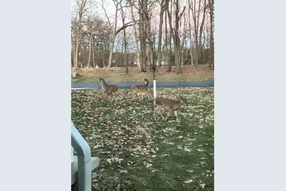 644 Woodchuck Drive, Coldwater, MI 49036 - Photo 53