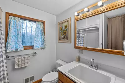 15740 Williamsville Street, Vandalia, MI 49095 - Photo 33