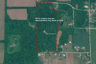 15740 Williamsville St, Vandalia, MI 49095 - Photo 9