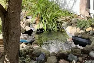 410 S Center St, Stockbridge, MI 49285 - Photo 29