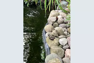 410 S Center Street, Stockbridge, MI 49285 - Photo 31