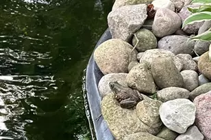 410 S Center St, Stockbridge, MI 49285 - Photo 31