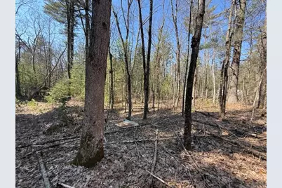 Vl S Pershing Road, Baldwin, MI 49304 - Photo 1