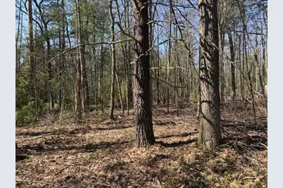 Vl S Pershing Road, Baldwin, MI 49304 - Photo 3