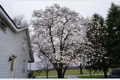 59757 White Temple Road, Vandalia, MI 49095 - Photo 29