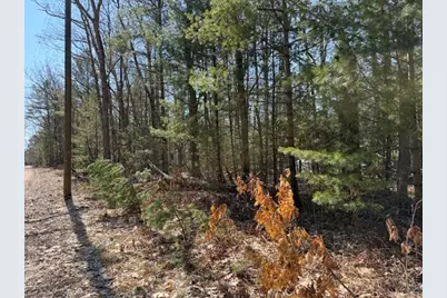 Vl Lots 7-11 Pershing Road, Baldwin, MI 49304 - Photo 1