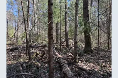 Vl Lots 7-11 Pershing Road, Baldwin, MI 49304 - Photo 3