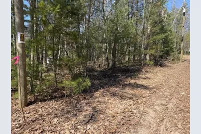 Vl Lots 7-11 Pershing Road, Baldwin, MI 49304 - Photo 5