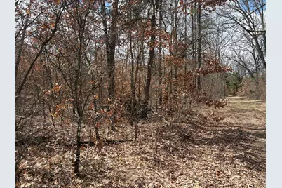 Vl W Lexington, Baldwin, MI 49304 - Photo 1