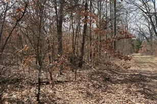 Vl W Lexington, Baldwin, MI 49304 - Photo 1