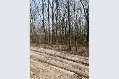 V/L Sycamore Street, Grand Junction, MI 49056 - Photo 3