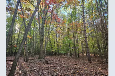 7040 Holly Drive, West Olive, MI 49460 - Photo 51