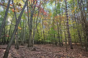 7040 Holly Dr, West Olive, MI 49460 - Photo 51