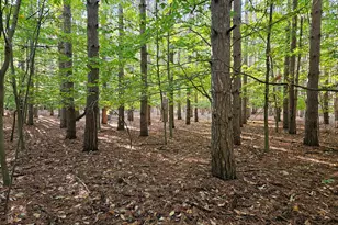 7040 Holly Dr, West Olive, MI 49460 - Photo 61